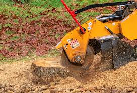 Best Lawn Mowing  in Vista, CA
